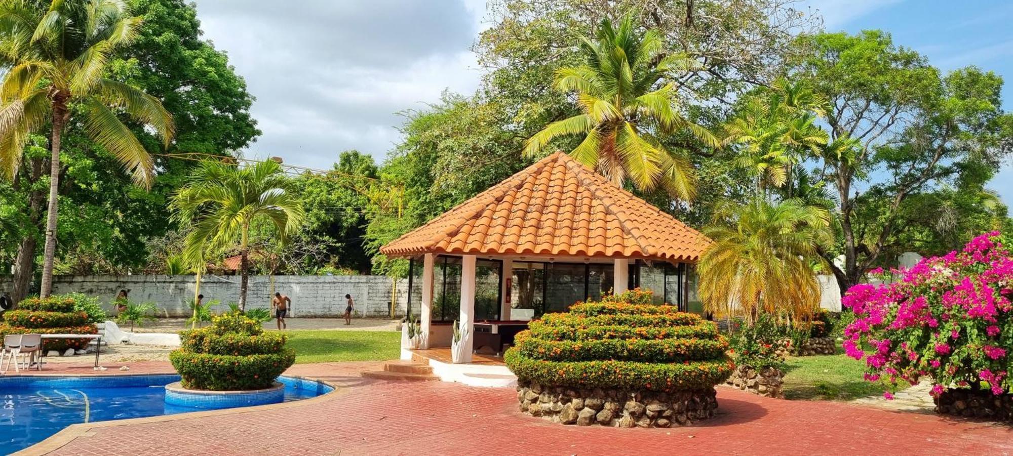 Mia Nueva Gorgona